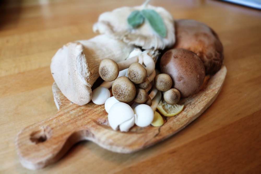 9-Foods-That-Cause-Fungi-You-Should-Avoid