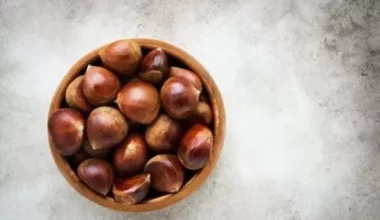 12 Best Chestnuts Substitute