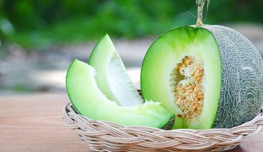 Fruits That Start With H