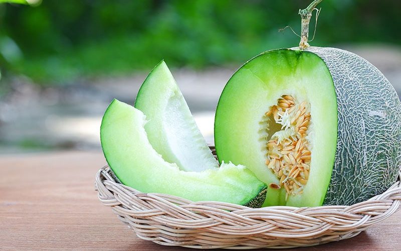 Fruits That Start With H