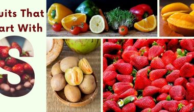 Fruits That Start With S