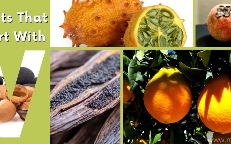 fruits that start with v