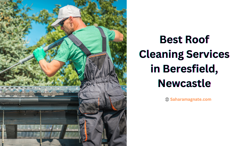 Best Roof Cleaning Services in Beresfield, Newcastle
