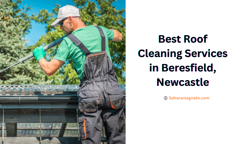 Best Roof Cleaning Services in Beresfield, Newcastle Best Roof Cleaning Services in Beresfield, Newcastle