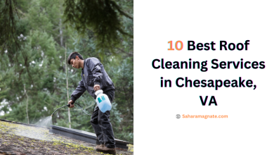 10 Best Roof Cleaning Services in Chesapeake, VA
