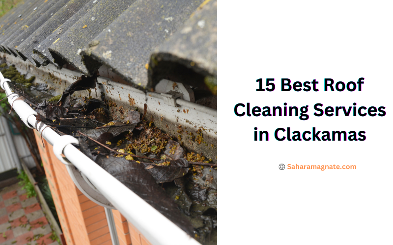 Best Roof Cleaning Services in Clackamas