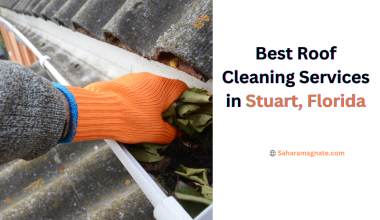 Best Roof Cleaning Services in Stuart, Florida