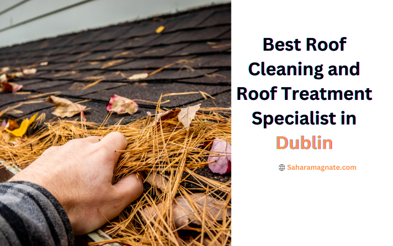 Best Roof Cleaning and Roof Treatment Specialist in Dublin
