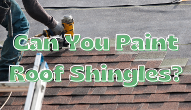 Can You Paint Roof Shingles?