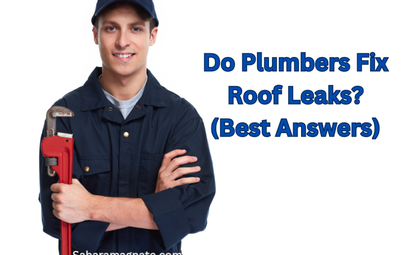 Do Plumbers Fix Roof Leaks? (Best Answers)