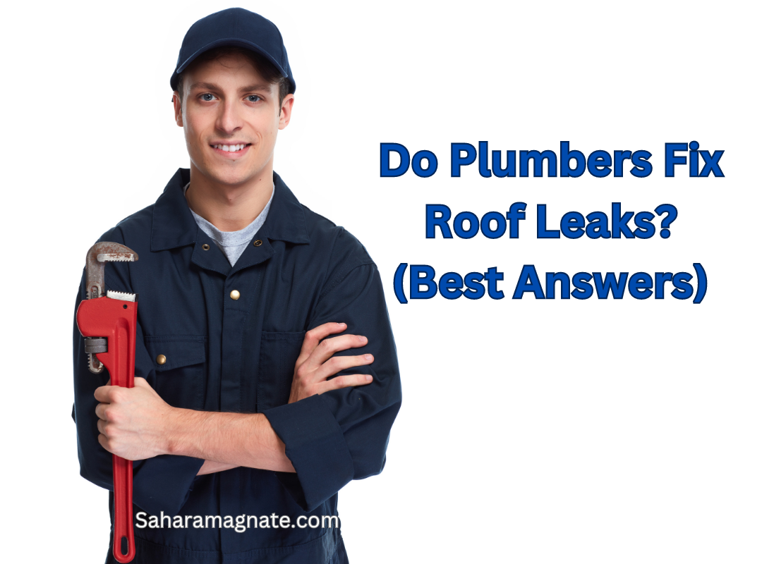 Do Plumbers Fix Roof Leaks? (Best Answers)