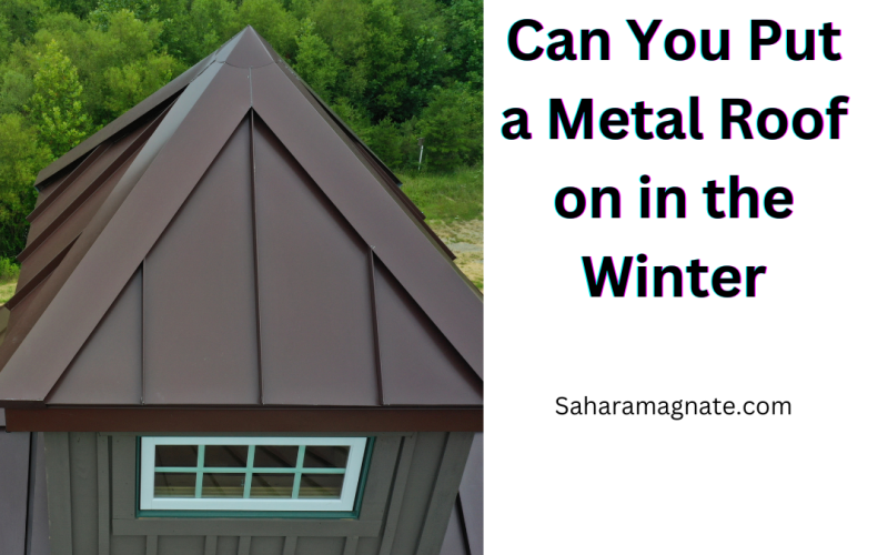 Metal Roof on in the Winter