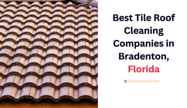 Roof Cleaning companies