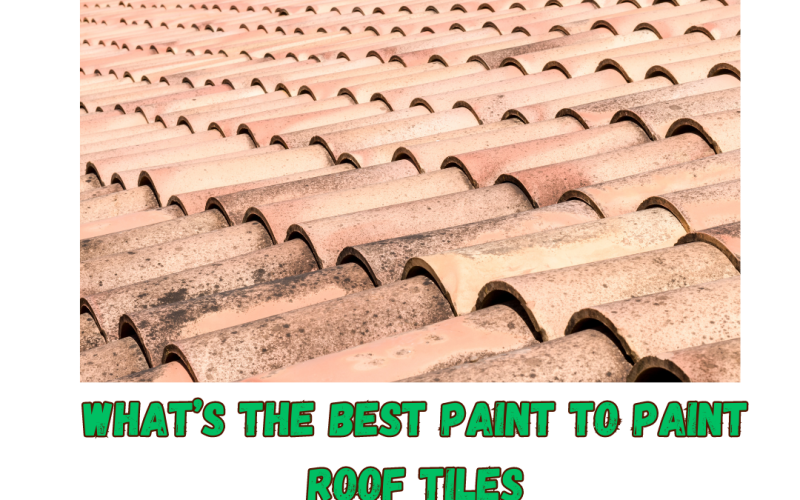 What’s the Best Paint to Paint Roof Tiles