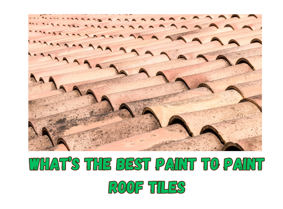 What’s the Best Paint to Paint Roof Tiles