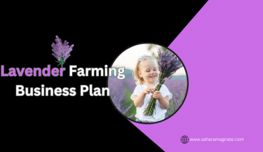 Lavender Farming Business Plan