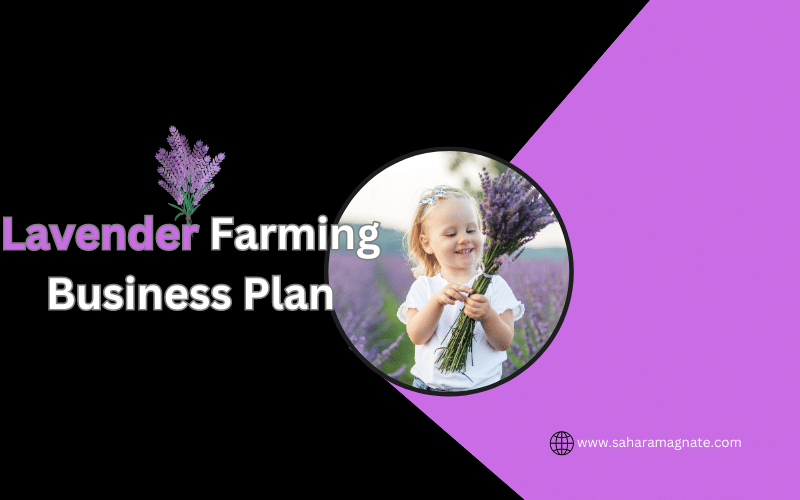 Lavender Farming Business Plan