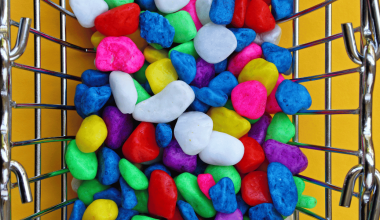 Candy Cart Business