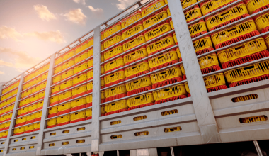 How to Start a Livestock Transportation Company in the USA 