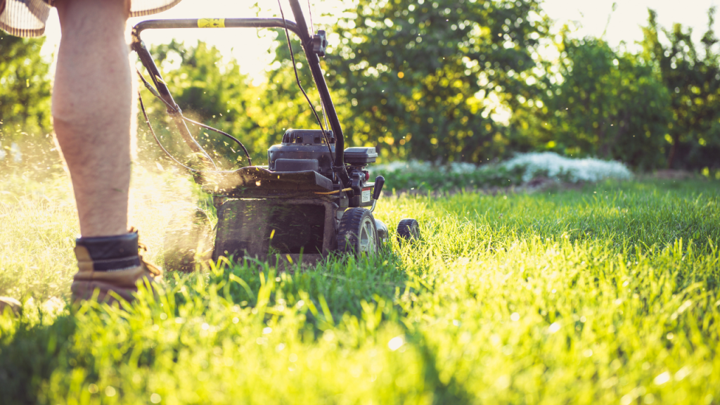 Lawn Mowing Business