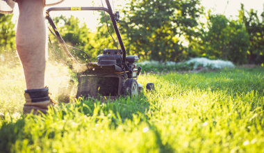 Lawn Mowing Business