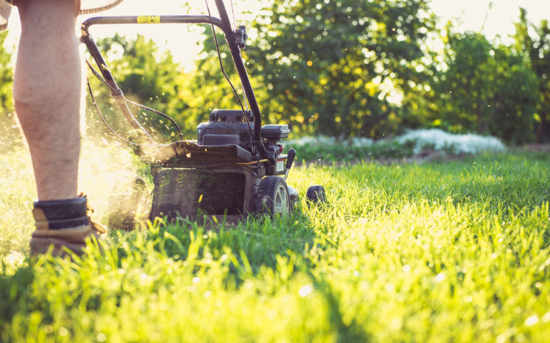 Lawn Mowing Business