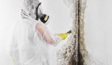How to Start a Commercial Mold Removal Company