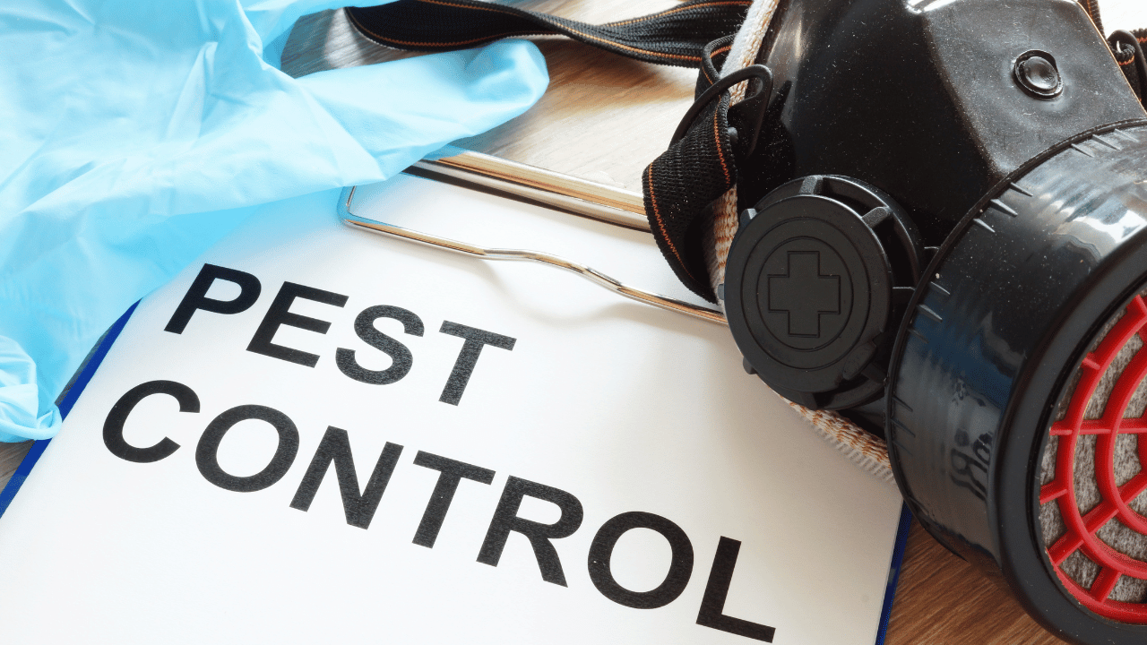 Pest Control 80 Unique, Creative & Catchy Pest Control Business Names